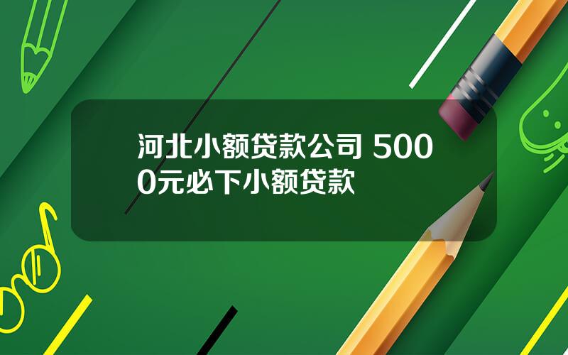 河北小额贷款公司 5000元必下小额贷款